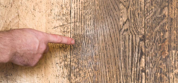 Wood Door Scratch Repair in Albany